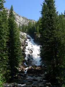 Easier to Swim Up or Be Swept Down?  It's that dramatic of a difference!