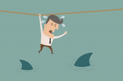 Circling Like Sharks Smelling Blood in the Water*