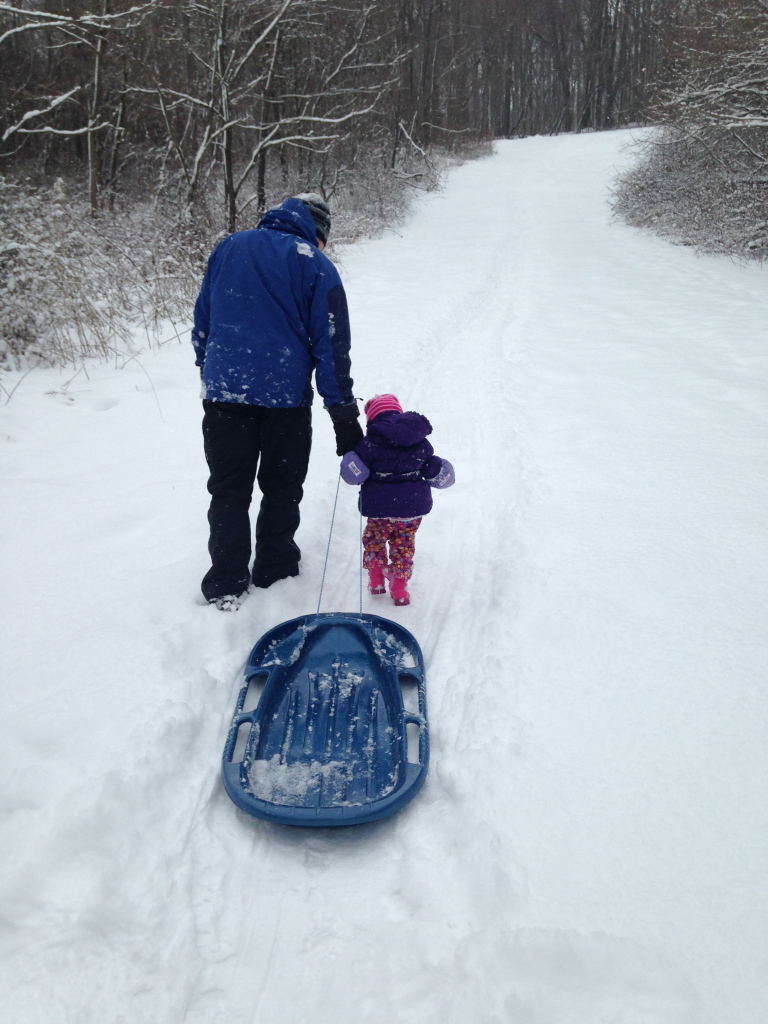 Daddy EE = Large Stocks, Toddler EE = Small Stocks, Sled = Portfolio